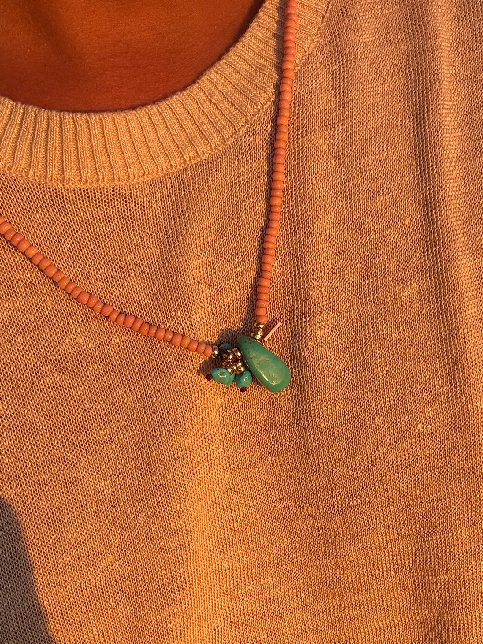 THE INDIAN FROM BEVERLY HILLS