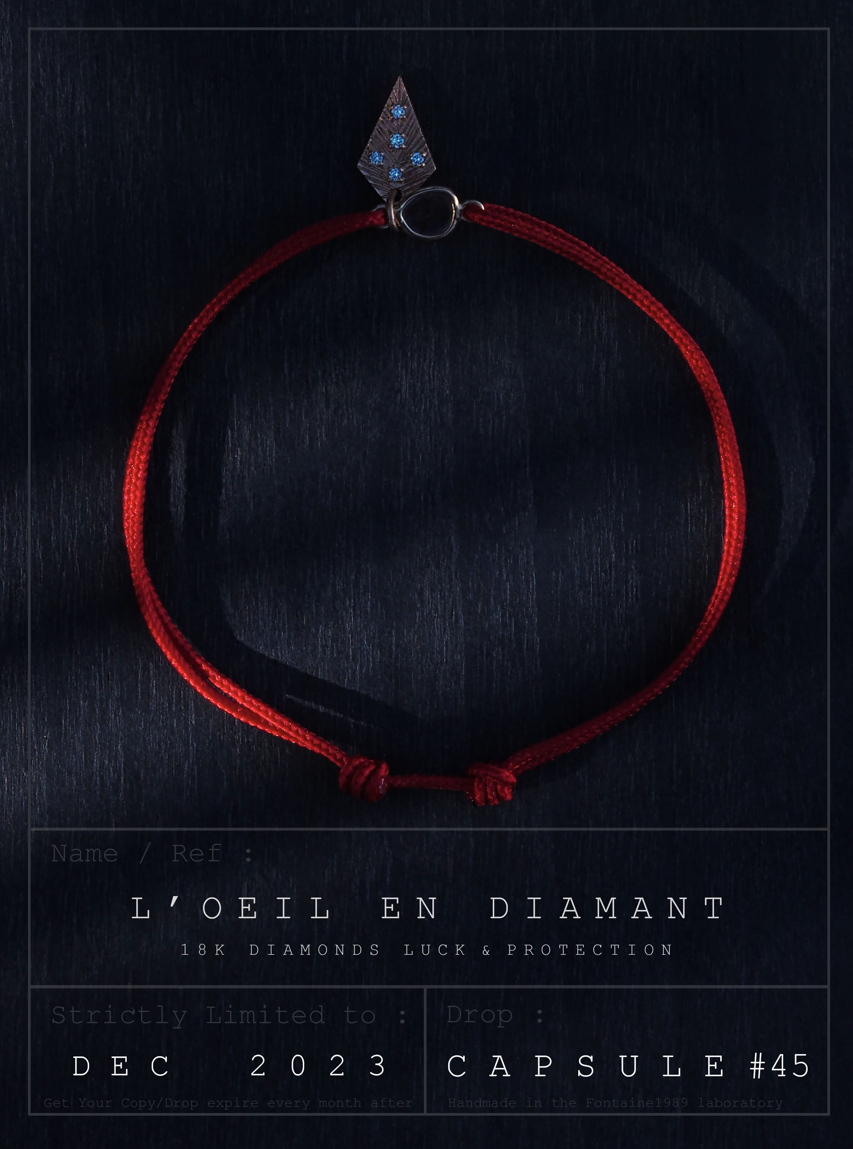 L'OEIL EN DIAMANT "Capsule du mois de Décembre"