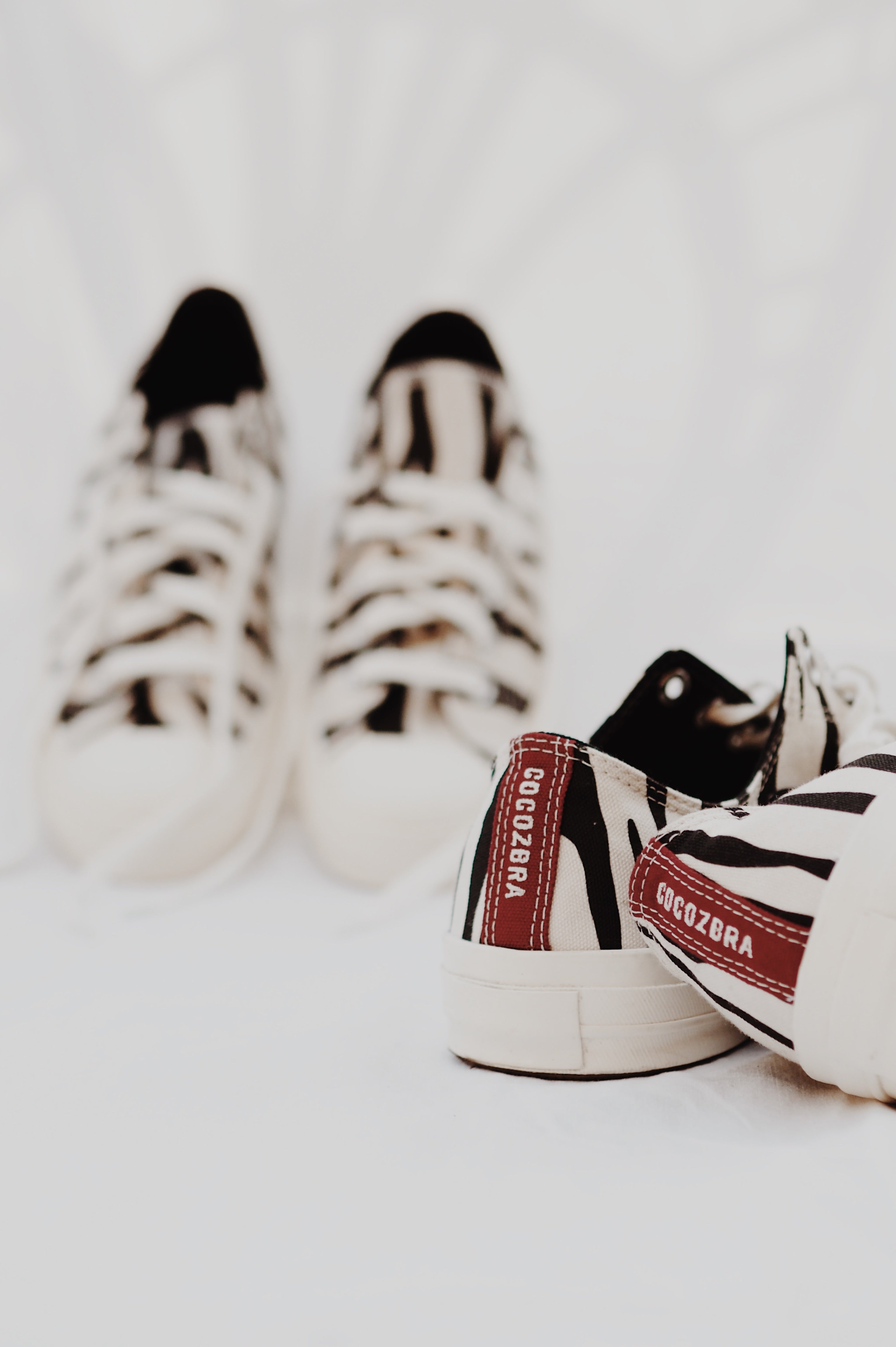 CONVERSE 70's X COCOZEBRA "2020 édition"