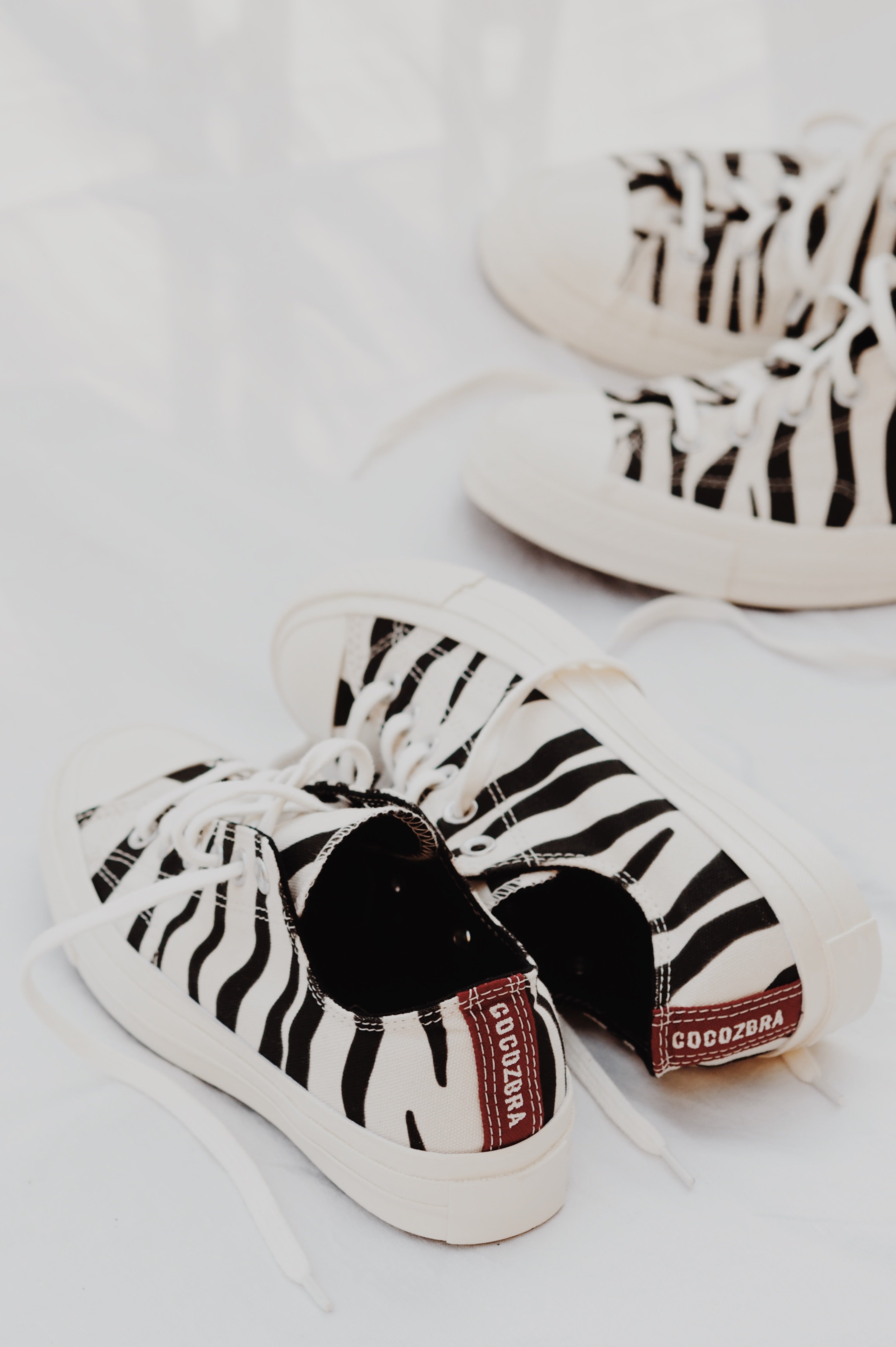 CONVERSE 70's X COCOZEBRA "2020 édition"